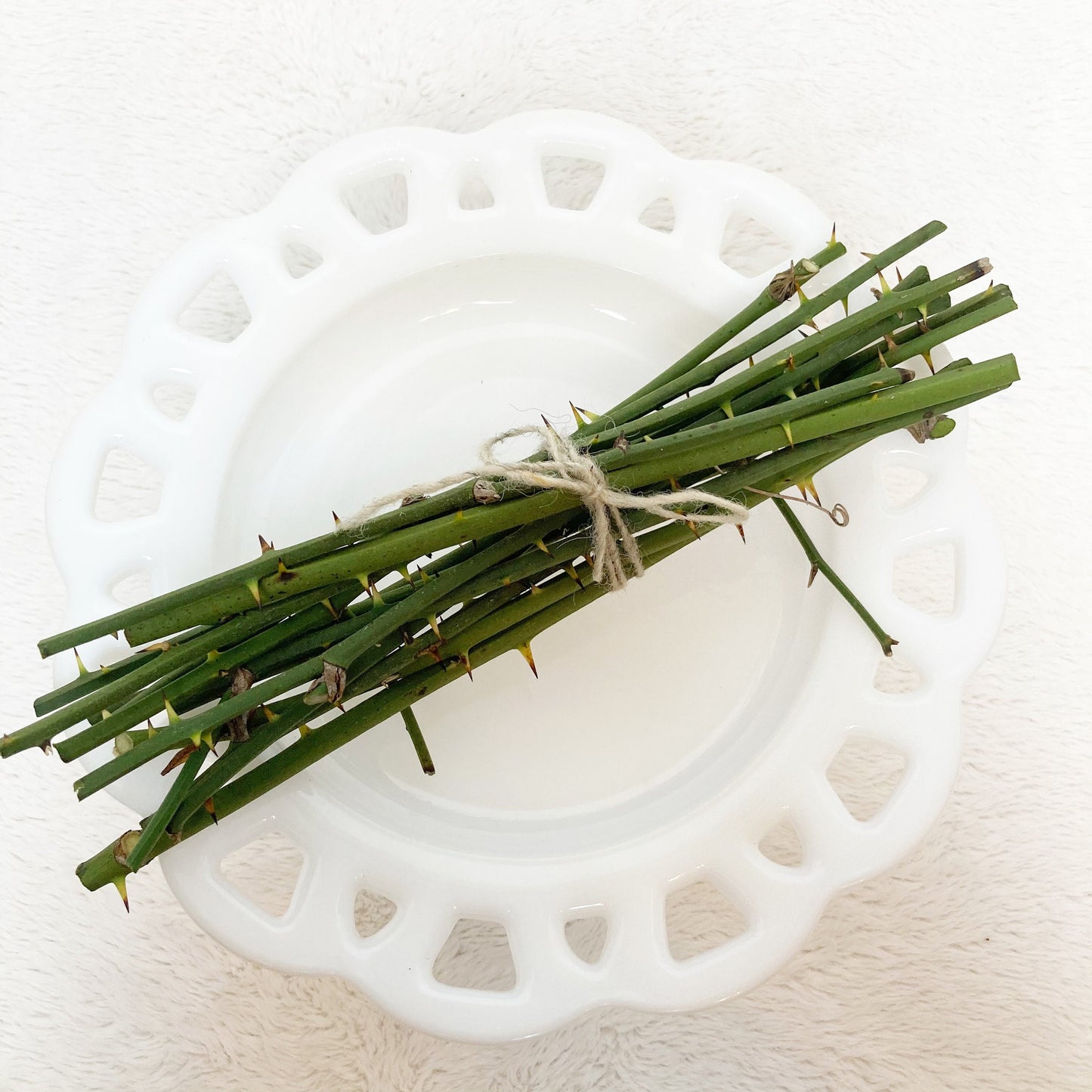 Green thorny twigs bundle for floral arrangements crafting, terrariums, fairy gardens greenbrier branches