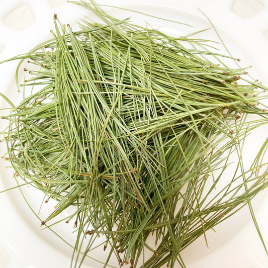 Dried white pine needles wild harvested and sustainably picked by hand