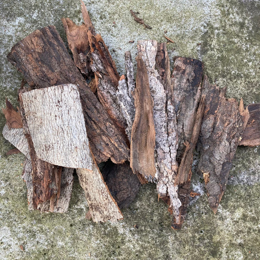 Hardwood Tree Bark | Fairy Garden Decor | Terrarium Bark | Dried Tree Bark | Air Plant Bark | Natural Bark Flats | Craft Supplies