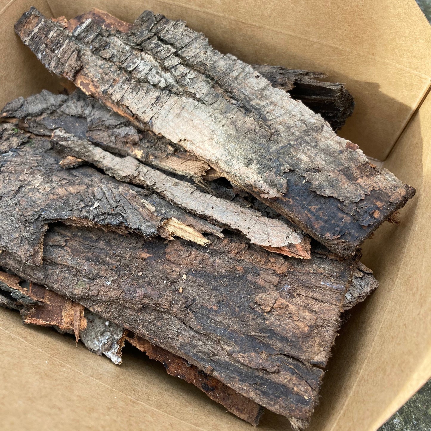 Hardwood Tree Bark | Fairy Garden Decor | Terrarium Bark | Dried Tree Bark | Air Plant Bark | Natural Bark Flats | Craft Supplies