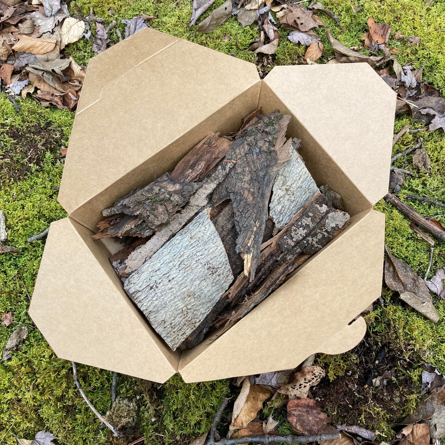 Hardwood Tree Bark | Fairy Garden Decor | Terrarium Bark | Dried Tree Bark | Air Plant Bark | Natural Bark Flats | Craft Supplies