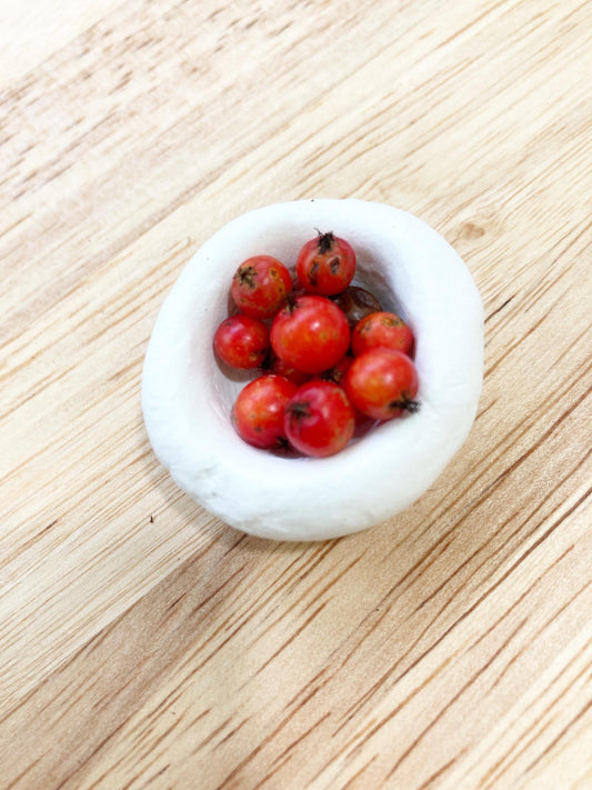 12 American Mountain Ash Seeds – Rowan Tree Berries for Planting, Crafting, Herbal & Spiritual Use
