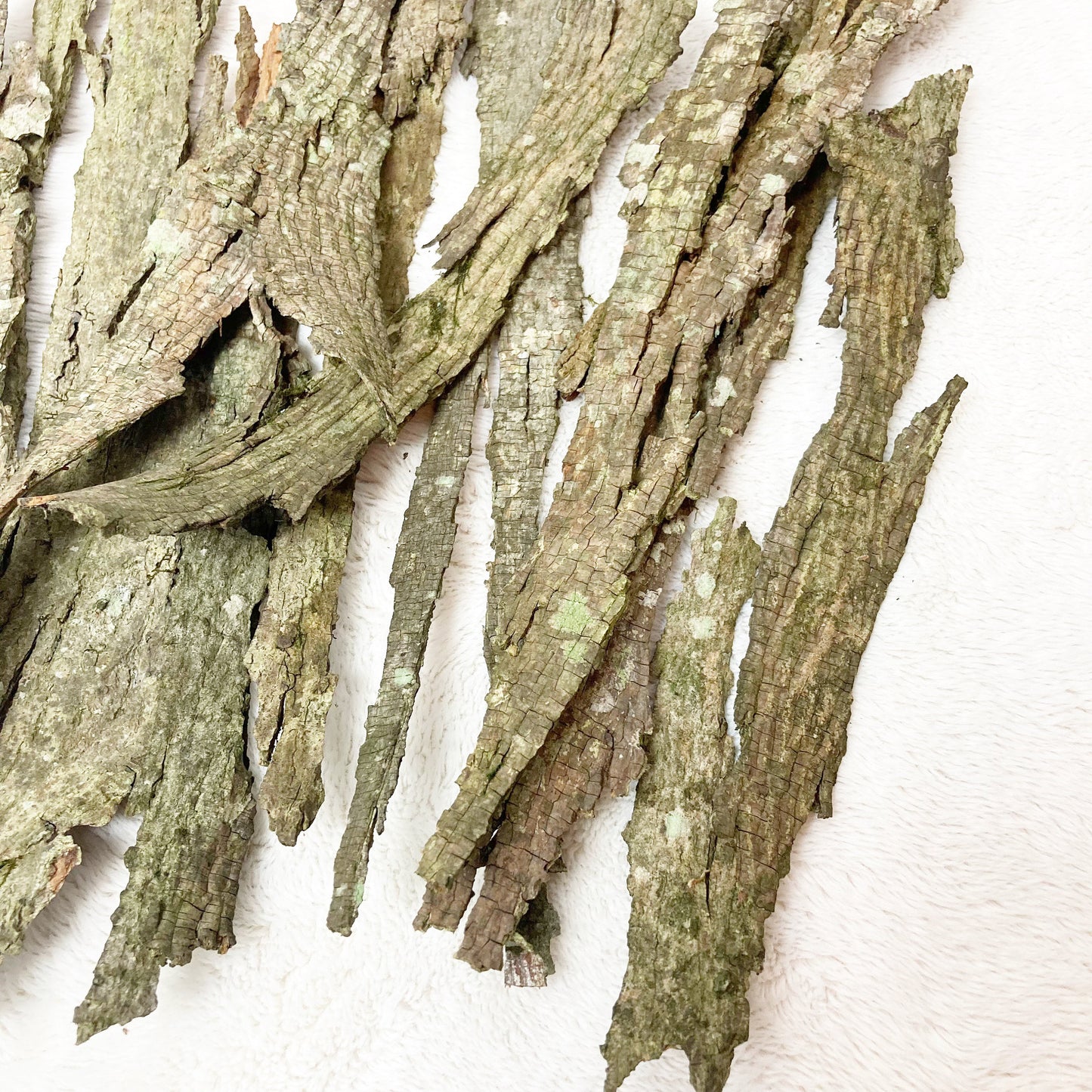 Shagbark Hickory Bark | Bark for Flavoring | Bark Crafts | Bark for Grilling Smoking | Fairy Garden Decor | Textured Bark | Craft Supplies