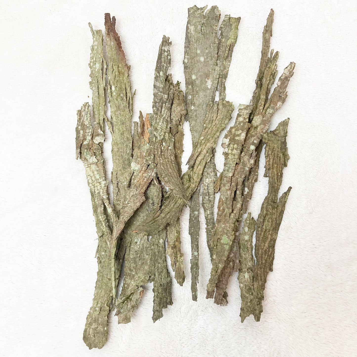 Shagbark Hickory Bark | Bark for Flavoring | Bark Crafts | Bark for Grilling Smoking | Fairy Garden Decor | Textured Bark | Craft Supplies